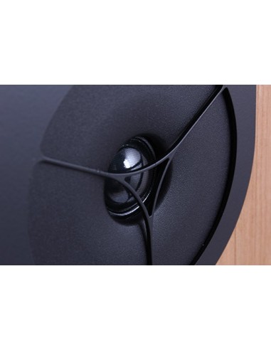 Rega RX-ONE loudspeaker system 2 ways walnut