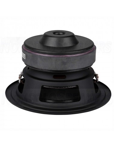 W6-1139SIF 6.5" Subwoofer Tang Band 4 ohm
