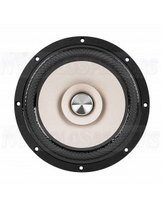 TANG BAND W8-2145 - 8" Full Range TB Speaker 2