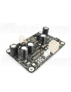 Luxus Audio Vivaldi MV - Class D Amplifier 1x30W @ 8ohm - Balanced input - Vertical Molex 2