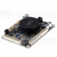 WONDOM AA-JA31181 - 1x100W Amplifier in Classe D + DSP Audio