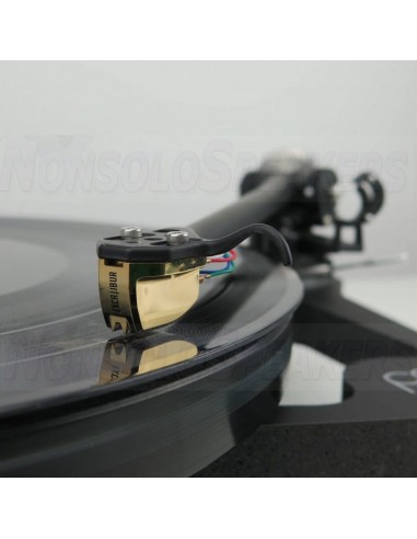 EXCALIBUR PLATINUM - MOVING COIL