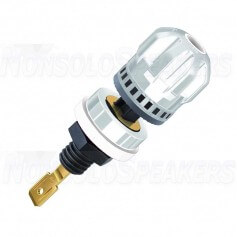 WBT-0703 CU W - White Terminal Copper Ø19mm Gold