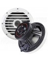Cerwin Vega RPM104 FL