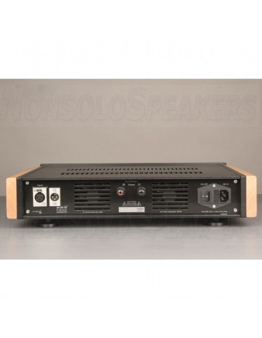 VAN DEN HUL THE EXCALIBUR MONO AMPLIFIER