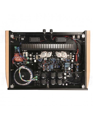 VAN DEN HUL THE EXCALIBUR MONO AMPLIFIER