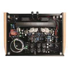 VAN DEN HUL THE EXCALIBUR MONO AMPLIFIER