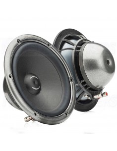 Woofer for Cars