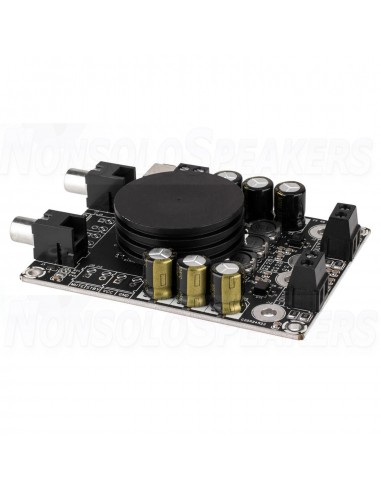 WONDOM AA-AB32178 Amplifier Module TPA3116 Class D 2 x 50 Watts 4 Ohms