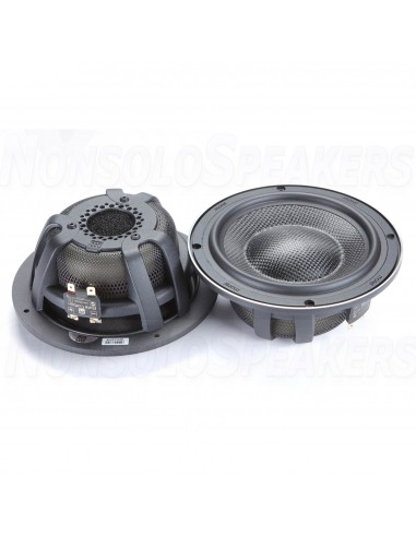 MOREL ELATE CARBON PRO 62A Active 6-1/2"