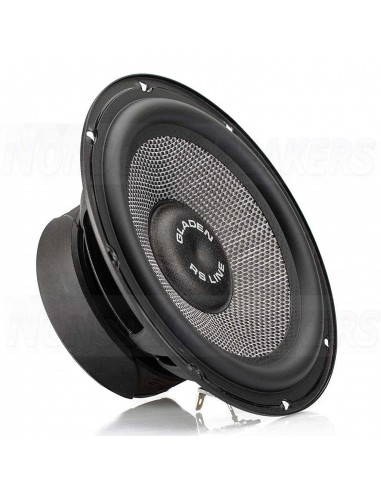 Nonsolospeakers