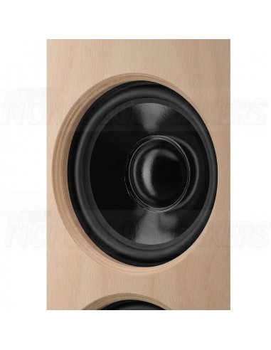 Monacor KATANA-M1  2-way speaker kit + crossover