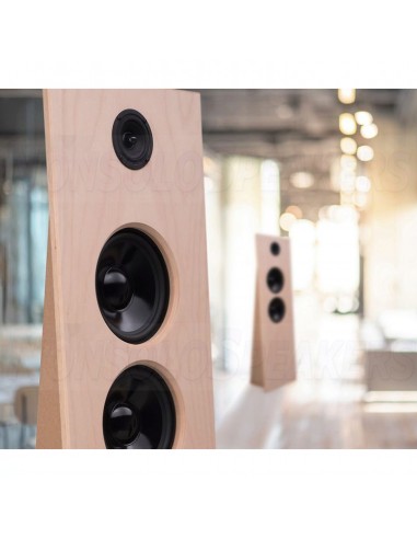 Monacor KATANA-M1  2-way speaker kit + crossover
