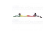 Heart Supply Logo Complete Skateboard Quad Rasta 8.25"