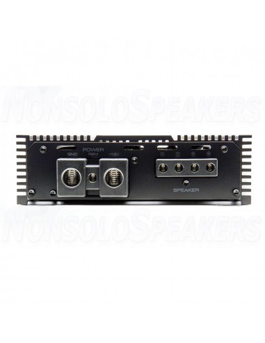 DIGITAL DESIGNS M1d Amplifier mono class D