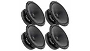 DEAF BONCE SYLVESTER 8 - 4PACK AP-M81SE