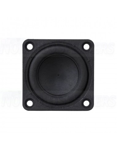Tang Band W1-1070SG - 1 "Full Range  Neodymium Magnet