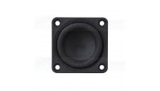 Tang Band W1-1070SG - 1 "Full Range  Neodymium Magnet