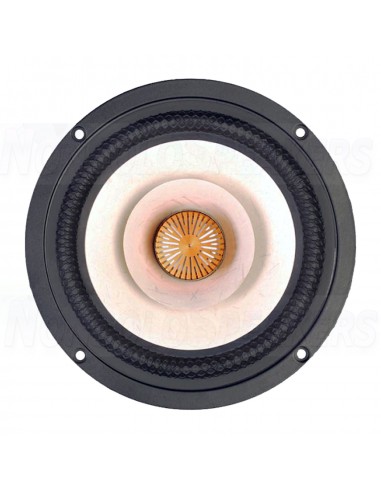 TANG BAND W6-1916 - 6" Full Range TB-Speakers