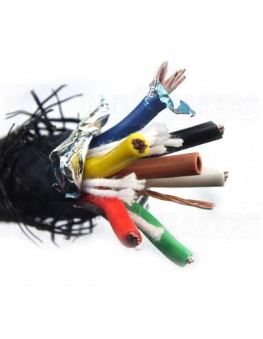 RAMM AUDIO AMADEUS 5 MK2 Speaker cable OCC Copper 6x1.5mm²