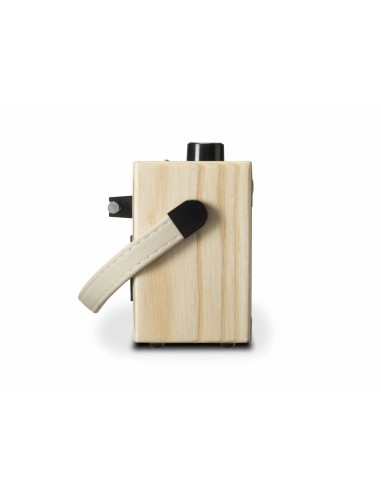 Roberts Radio RamblerBT Leaf DAB/DAB +/UKW