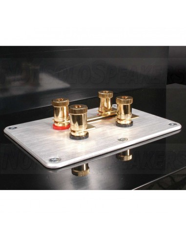Dayton Audio SBPP-BK Binding Post Plate Silver Anodized