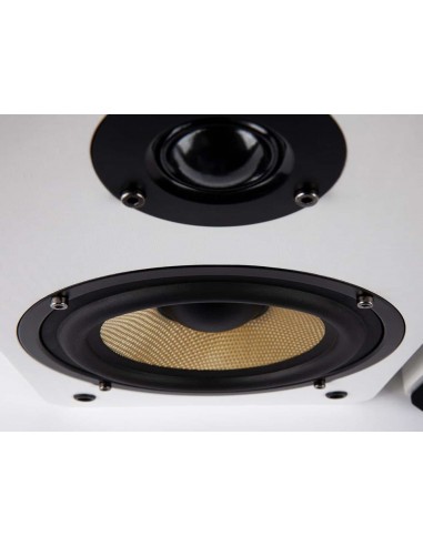 BLOCK S-250 Loudspeaker (Pair) White