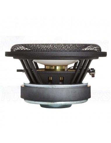 Accuton C173-11-191 Midrange 11 Ohm 1 piece