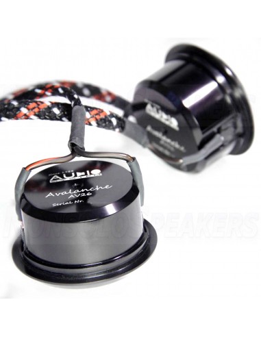 Audio System AVALANCHE 165-2 Passiv 16.5cm