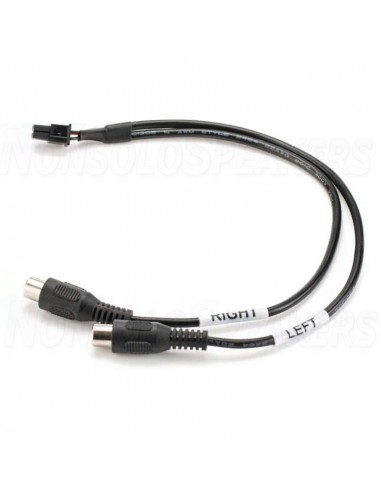 GLADEN EXT2RCA adapter cable for PICO 8|12DSP and Atomo