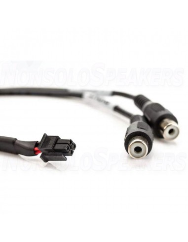 GLADEN EXT2RCA adapter cable for PICO 8|12DSP and Atomo