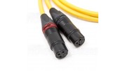 VAN DEN HUL D-102 III Hybrid XLR