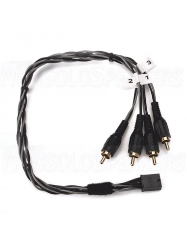 GLADEN SU-EXT4RCA-MALE Adapter Soundup - Microfit to Rca