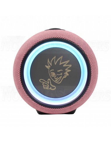 PEXMAN PM-10P bluetooth speaker pink pair