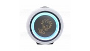 PEXMAN PM-10W bluetooth speaker white pair