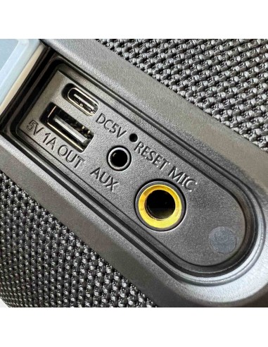 PEXMAN PM-50 bluetooth speaker black