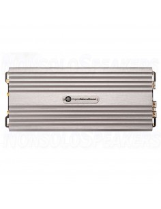 DLS Reference CCi500 Mono Amplifier 2