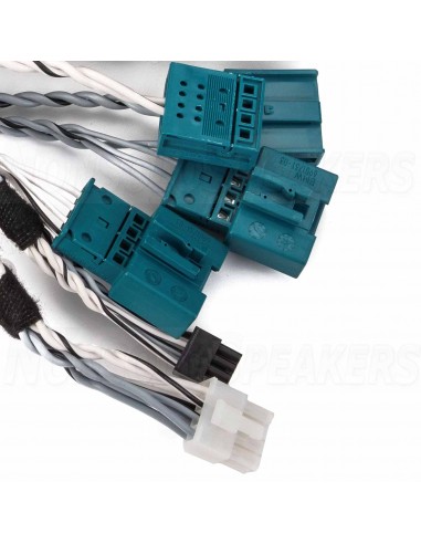 GLADEN SU-BMW-PICO4 SoundUp cable for BMW F and G models