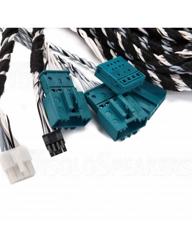 GLADEN SU-BMW-PICO4 SoundUp cable for BMW F and G models