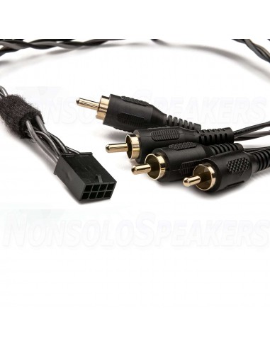 GLADEN SU-EXT4RCA-MALE Adapter Soundup - Microfit to Rca