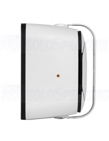 Dayton Audio IO65XTW 6-1/2" IP66 Indoor/Outdoor 2-Way Speaker