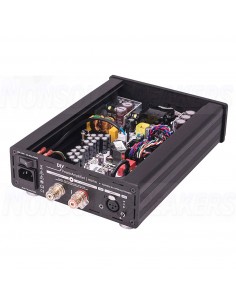 Hypex Nilai500DIY 1-channel Nilai Mono amplifier kit 2