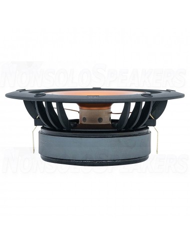 Markaudio Alpair-11MS Gold 6,5" Full Range Woofer