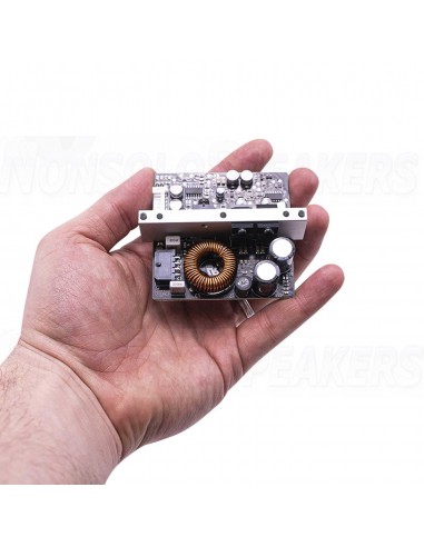 ICEpower 250A 250W Pro Amplifier Module