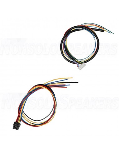 ICEpower 250A 250W Pro Amplifier Module