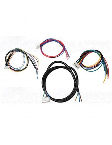 ICEpower 1000ASP Amplifier Module with Integrated Power supply