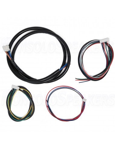 ICEpower 300AS1