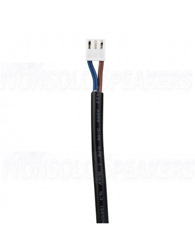 ICEpower 100AS2 Amplifier Module
