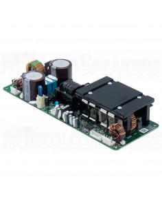 ICEpower 250ASX2 2 x 250 W Amplifier Module 2