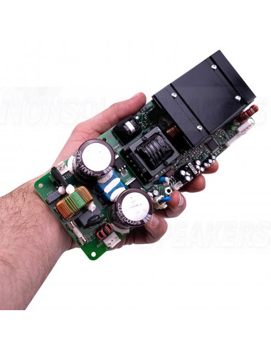 ICEpower 250ASX2 2 x 250 W Amplifier Module